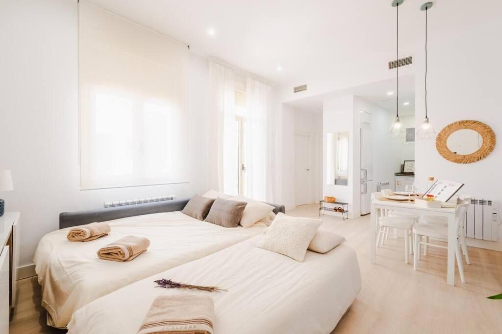 דירות Casa San Miguel Terrace Centro סרגוסה מראה חיצוני תמונה